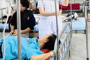 Vụ ngộ độc bánh mì ở Đắk Lắk: Rau và chà bông bị nhiễm vi khuẩn Salmonella