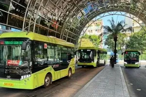 TPHCM: Thẩm tra đề xuất miễn vé 135 tuyến xe buýt, miễn phí hạ tầng cảng biển