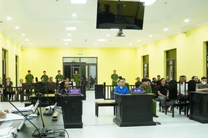 Lừa đưa 17 người ra nước ngoài cưỡng bức lao động, lãnh 14 năm tù