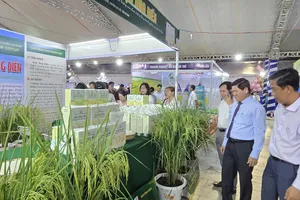 Phó Chủ tịch UBND tỉnh Cà Mau Lê Văn Sử thăm gian hàng Công ty MISUN với thương hiệu "Gạo ông Điển", đạt giải Nhì cuộc thi "Gạo ngon Đồng bằng sông Cửu Long" lần thứ I năm 2026. Ảnh: VGP