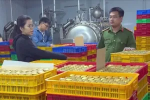 Cơ quan chức năng tỉnh Tây Ninh bắt quả tang các đối tượng sản xuất nước yến, yến sào giả. Ảnh: CATN