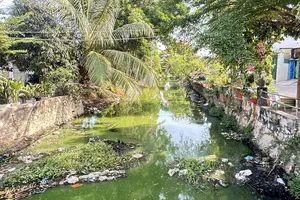 Kênh thoát nước ô nhiễm
