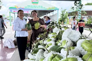 Đồng Tháp khai mạc Lễ hội trái cây lần thứ I năm 2026