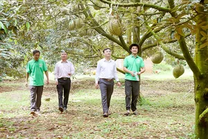 Nông dân bước vào kỷ nguyên số - Bài 1: Từ thửa ruộng đến không gian số