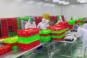 Xuất khẩu rau quả đạt gần 5 tỷ USD trong 7 tháng
