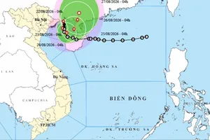 Bão số 4 vào vùng biển Quảng Ninh - Hải Phòng, có nơi mưa trên 600mm