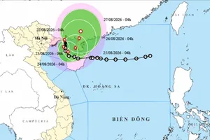 Bão số 4 vào vùng biển Quảng Ninh - Hải Phòng, có nơi mưa trên 600mm