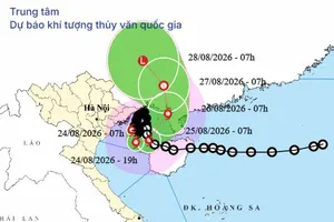 Bão số 4 gần như đứng yên, Trung bộ nắng nóng trên 38 độ C