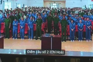 Tromg chuyên án VN10, nhiều trường hợp mẹ con hầu tòa 