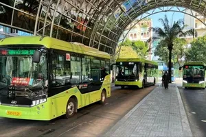 Xe buýt miễn phí và lựa chọn của bạn trẻ