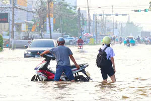 Cần Thơ: Triều cường vượt báo động III gây vỡ đê, nhiều nơi ngập sâu