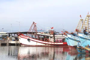 Thứ trưởng Võ Văn Hưng phát biểu tại buổi làm việc. Ảnh: TÍN HUY