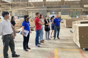 Ngành gỗ tìm động lực tăng trưởng từ thị trường nội địa