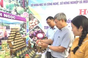 Đà Nẵng tìm hướng nâng giá trị hơn 150.000 vườn, trang trại