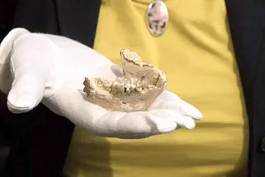 Giả thuyết mới về nguồn gốc loài người