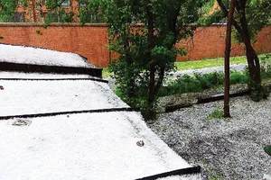 Tuyết rơi mùa hè