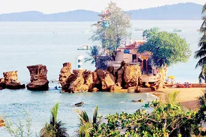 Bỏ lỡ 5 “đặc sản” hiếm có khó tìm này, coi như chưa đến Phú Quốc!