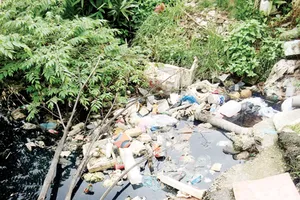 Nước thải sinh hoạt bị ùn ứ bốc mùi do lối thoát bị tắc nghẽn