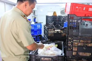 QLTT TPHCM kiểm tra một kho hàng vi phạm         Ảnh: THI HỒNG