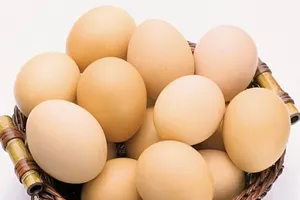 120 DN từ 30 nước tham gia hội nghị về trứng gia cầm tại Việt Nam