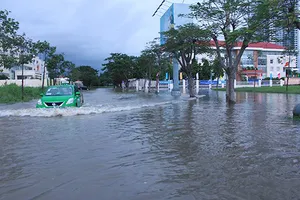 Vũng rốn Nhà Bè