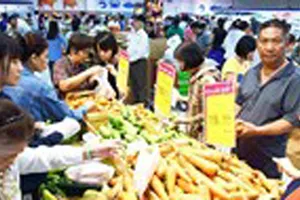 Thị trường Tết Mậu Tuất 2018:  Các mặt hàng thiết yếu dồi dào, giá ổn định