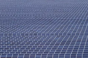 Liên minh của hy vọng mới