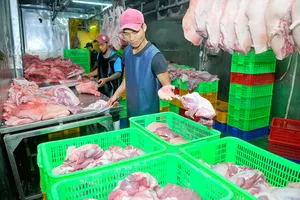 Tìm hướng phát triển nhanh, bền vững