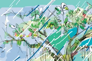 Tiếng ếch  trong mưa