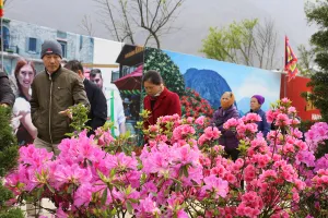 Chỉ còn 20 ngày khám phá Fansipan với 200 nghìn đồng