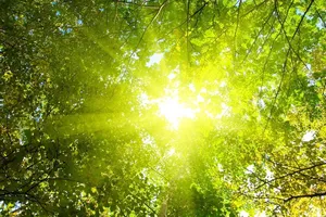 Thời tiết cả nước ngày Giỗ Tổ Hùng Vương