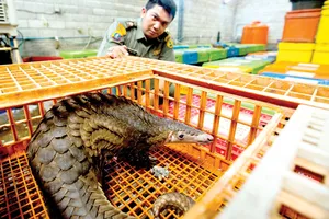 Chống buôn bán động vật hoang dã bằng công nghệ