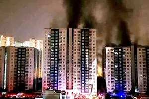 Dự kiến hoàn tất sửa chữa chung cư Carina vào 15-8