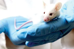 Phương pháp điều trị bệnh Alzheimer mới