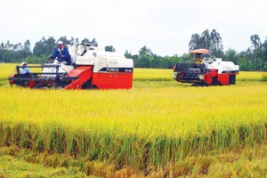 Tái cấu trúc nông nghiệp ĐBSCL