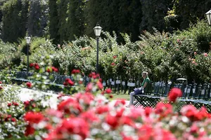 Vienna đáng sống nhất thế giới