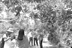 Đại diện một số hãng lữ hành khảo sát tuyến du lịch tại tỉnh Đồng Nai