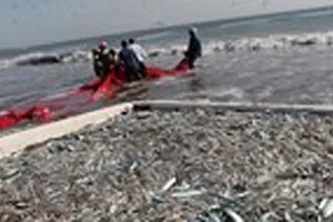 Cứu lấy ngư trường…