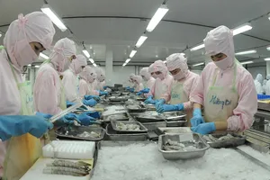 Chế biến tôm xuất khẩu của một doanh nghiệp tại khu vực phía Nam                                                                       Ảnh: CAO THĂNG