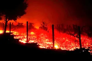 Cháy rừng lịch sử ở California, ít nhất 42 người chết