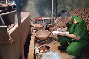 Cơ quan chức năng TP Đà Lạt lập biên bản xử lý vụ trộn đất vào khoai tây Trung Quốc để bán ra thị trường với giá cao chiều ngày 21-8-2018. Ảnh: ĐOÀN KIÊN