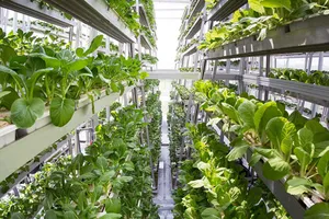 Singapore tăng cường giám sát thực phẩm