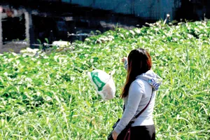 Vứt rác xuống kênh, rạch sẽ gây tắc nghẽn dòng chảy                                                         Ảnh: THÀNH TRÍ