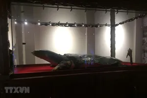 Tiêu bản Cụ rùa Hồ Gươm được đưa về đền Ngọc Sơn