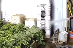 Bán tạp hóa ở Mỹ