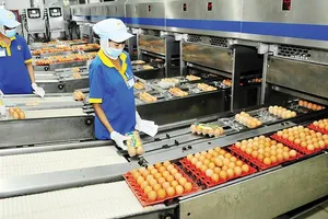 Sản xuất công nghiệp và bán lẻ của TPHCM tăng 