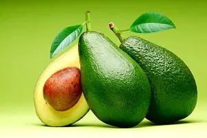 Sản xuất nhựa từ hạt quả bơ