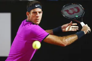 Juan Del Potro mới chỉ chơi 17 trận trong mùa giải này.