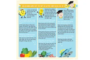 DHA được hấp thu tốt hơn khi có Lutein và vitamin E tự nhiên