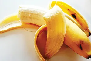 Australia phát triển chuối giàu vitamin A